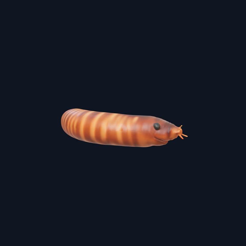 Realistic Millipede Model Pack for Rendering and Games
